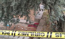 Antalya'da bacağını elektrikli testereye kaptırdı