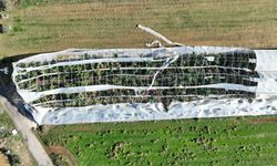 Büyükşehir Belediyesi seraları zarar gören çiftçinin yanında