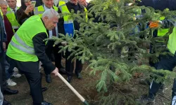 Büyükşehir'den 15 bin fidanlı 'Hatıra Ormanı'