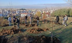Dernek üyeleri fidan dikti