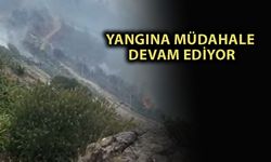 Son dakika! Gazipaşa'da yangın çıktı