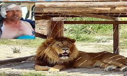 2025 Antalya'da böyle geçti