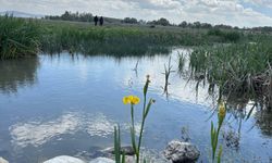 Eber Gölü'ne 'giriş yasağı' kaldırıldı
