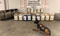 Gümrüklerde 'kaçak malzeme ele geçirme' rekoru