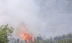 Gazipaşa'da muz bahçeleri ve makilik alan yandı