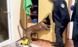 Antalya'da narkotik operasyonu: 4 şüpheli tutuklandı