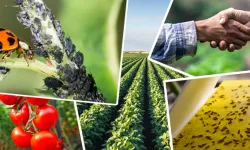 Tarımsal üretimi destekleyecek önemli düzenleme