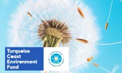 TCEF 2026 Hibe Programı'nda Türkiye'nin güney ve batı kıyılarına destek... Son başvuru 25 Ocak