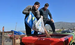 Tohumları Sarıçalı'nın merasını yeşertecek