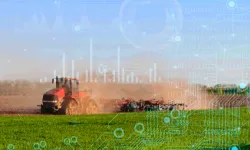 TÜİK 2025 bitkisel üretim verilerini açıkladı