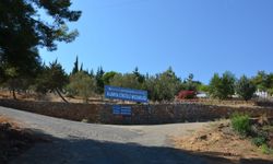 Alanya Cikcilli Mezarlığı 50 dönüme çıkıyor