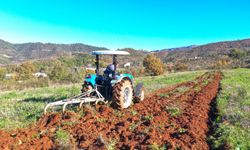 Gazipaşa ata tohumlarına sahip çıkan örnek üretim