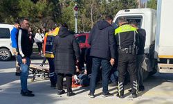 Yaya geçidinde kamyonet çarptı