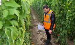 Afetten zarar gören seralarda hasar tespiti