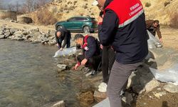 Afyonkarahisar'da 13 ilçede 39 göl ve gölete balık bırakıldı
