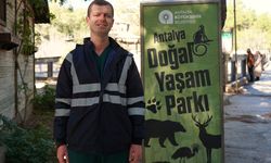 Antalya Doğal Yaşam Parkı'nın 2026'da ilk yavrusu aksis geyiği
