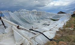 Antalya'da fırtınadan seralar zarar gördü, ağaçlar devrildi