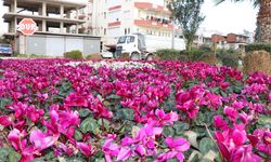 Antalya'da park ve bahçelerde kış çalışmaları