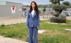 Büyükşehir'den sokak köpeklerine özel yaşam alanı