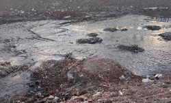 Eber Gölü'nü besleyen Akarçay'da kirlilik