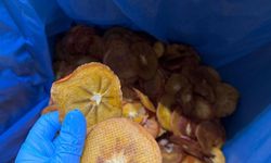 İhraç gıda ürünlerine denetim