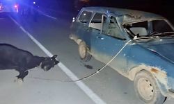 Otomobil ata çarptı: 2 yaralı