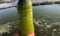 Eğirdir Gölü'nde 'bulanık yapı' riski