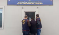 Hapis cezası firarisini jandarma yakaladı