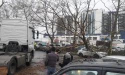 İstanbul'da fırtına: Ağaç devrildi, sahil yolları kapandı!