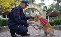 JAK köpeği 'Ocak', 8 yılda 48 can kurtardı