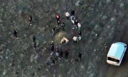 Jandarma köpek dövüşünü dronla tespit etti: 14 gözaltı