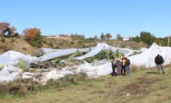 Manavgat'ta hasar tespit çalışması