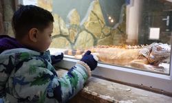 Antalya'da soğuk günlerde sıcak önlemler