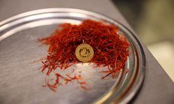 Safran'ın kilosu 900 bin liraya ulaştı