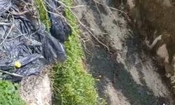 Alanya'da üreticiler acil çözüm bekliyor: Ürünler kurudu