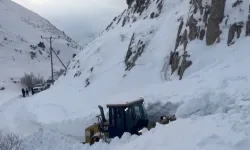 Van'da çığ düştü, 2 hastaya ambulans ulaştırıldı