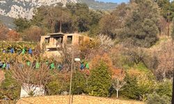 Son dakika! Alanya'da metruk binada uyuşturucu alemi