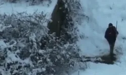 Yasa dışı avcılığa karşı kesintisiz denetim