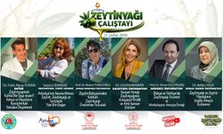 Antalya zeytinyağı çalıştayına ev sahipliği yapacak