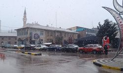 Afyonkarahisar'da kar etkili oldu