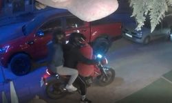 Alanya'da çiçekçiden pelüş ayı hırsızlığı