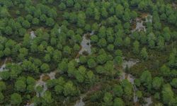 Antalya'da hortum sonrası enkaz kaldırılıyor; su ise çekilmedi