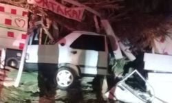 Antalya'da otomobiliyle çilek tezgahına çarptı