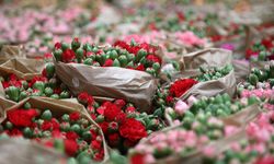 Antalya'dan 'Sevgililer Günü' için Avrupa'ya 75 milyon dal çiçek