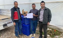Antalyalı üreticilere sertifika