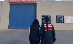 Jandarma operasyonlarında kaçak parfüm ve uyuşturucu ele geçirildi