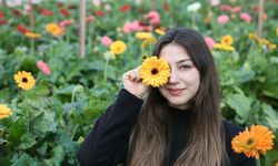 Türk çiçeğinde 160 milyon dolarlık ihracat rekoru