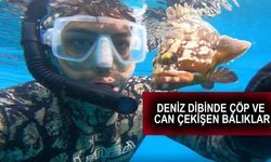 Antalya'da denizden 'büyü malzemesi' çıkarıyor