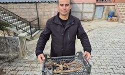 Eğirdir Gölü'nün suyu çekilen kıyı kesiminde insan kemikleri bulunan küpler ortaya çıktı