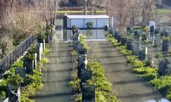 Irmak taştı, Antalya-Alanya Otoban İnşaatı şantiyesi ile narenciye bahçelerini su bastı